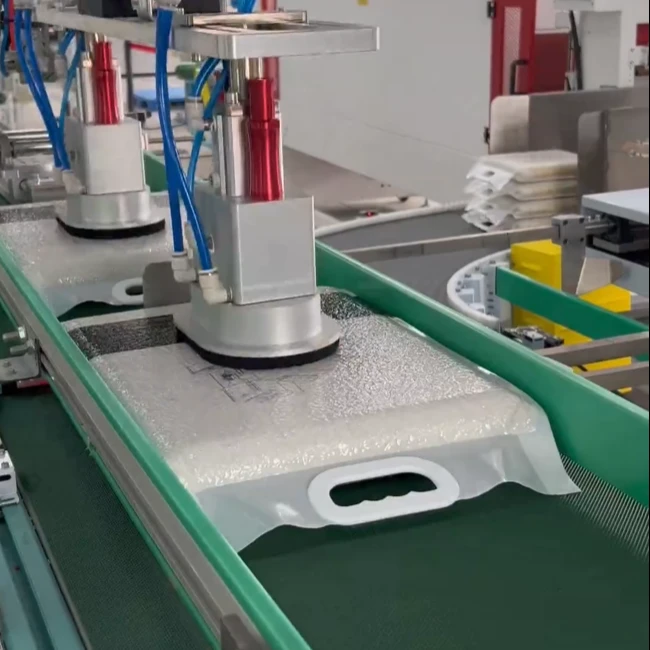 Fully Auto Case Packing Machine Fully Auto Case Packing Machine