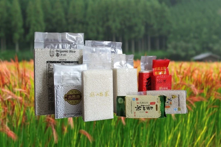 Vacuum Packaging Machine For Brick Shaping